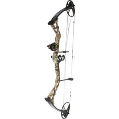 Compound Bow
